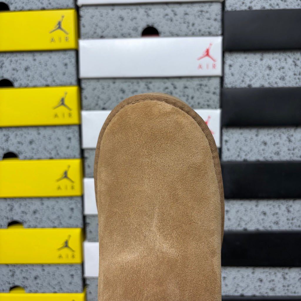 UGG Platform Ankle Boots in Brown