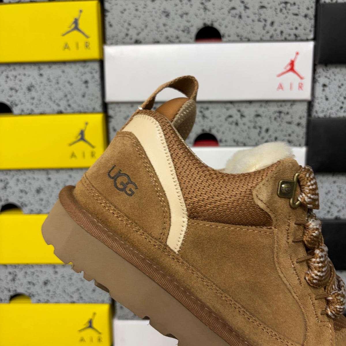 UGG Low-Top Lace-Up Sneakers in Chestnut