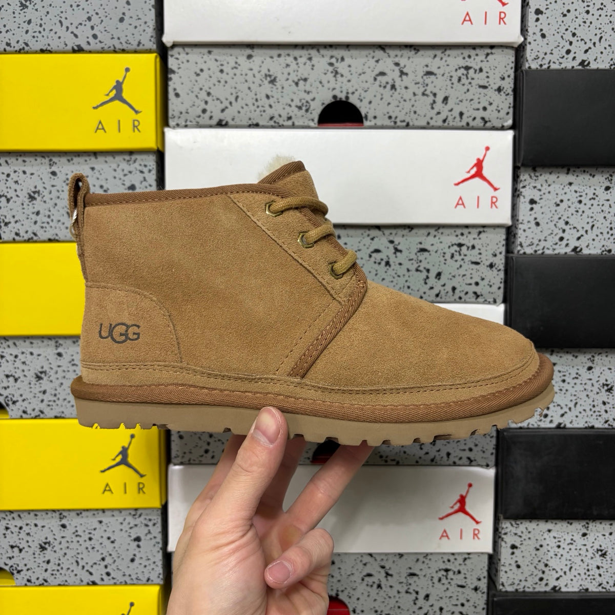 UGG Lace-Up Chukka Ankle Boots in Chestnut